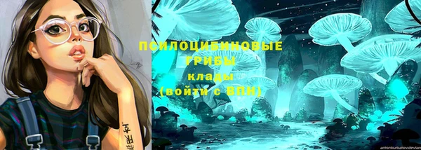 гашишное масло Аркадак